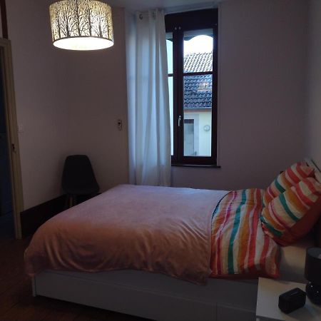 Appartement 1Er Etage Proche Des Termes Bourbonne-les-Bains Eksteriør billede