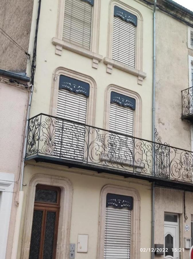 Appartement 1Er Etage Proche Des Termes Bourbonne-les-Bains Eksteriør billede